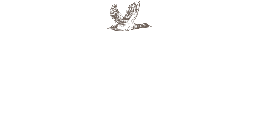The Duckhorn Portfolio logo